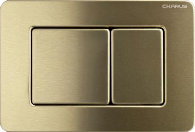 Клавиша для инсталляции CHARUS TM,
Серия: ROBUSTO
Материал: Нержавеющая сталь (SS 304)
Тип: Механический
Размер: 241*164*12
Цвет: Брашированное золото (Темное)