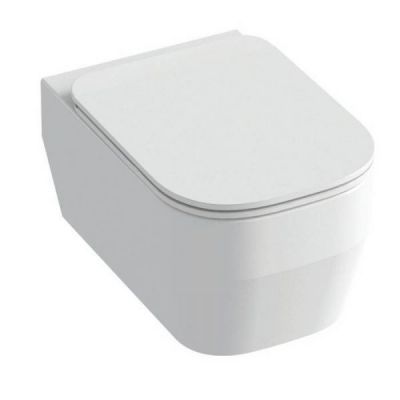 TUESET01 Комплект Унитаз Tutto Evo с крышкой TUE1202R01+C9TE01, безободковый, микролифт, съемные петли (цвет - белый глянцевый)
